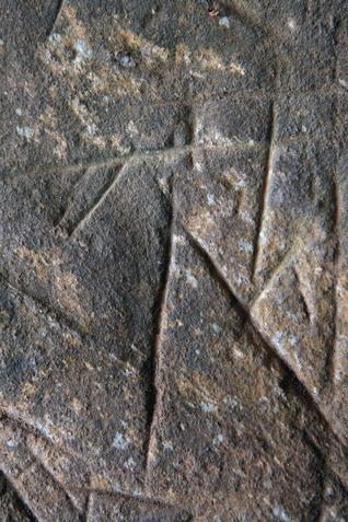 Deep meanings: A newly discovered anthropomorphic motif on a rock in the Thovari hills near the Edakkal caves in Wayanad.