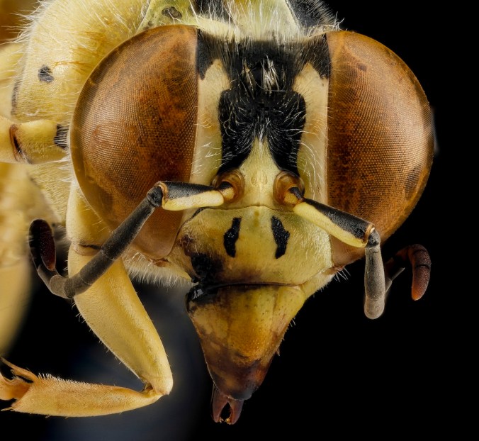 8028376204_c8c66885e1_h.jpg.CROP.original-original