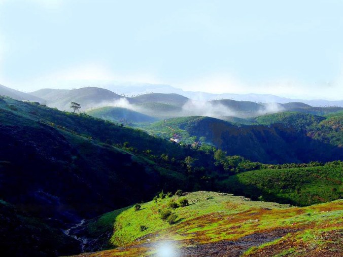 Photo credits : Praveen Bhaskaran