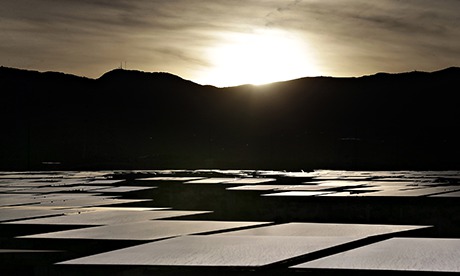 Some of the 173,500 sets of paired mirrors at the Ivanpah Solar Electric Generating System. The mirrors reflect sunlight on to towers that hold water. The heat from the sunlight turns the water into steam used to spin turbines that produce electricity. Photograph: Isaac Brekken/Washington Post