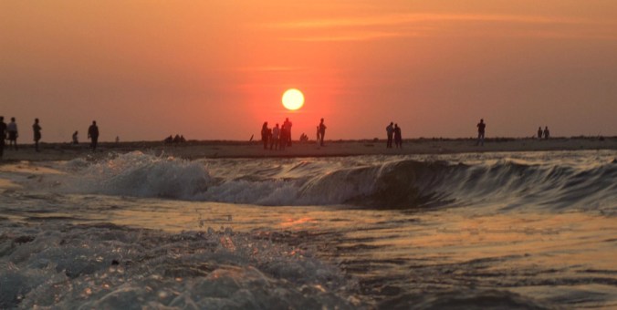 Photo credits : Ramesh Kidangoor