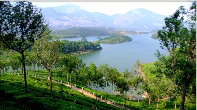 Photo credits : Ramesh Kidangoor