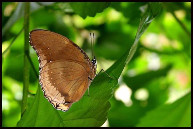 Photo Credits: Aparna P