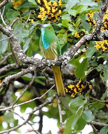 Photo credit : Faisal Magnet