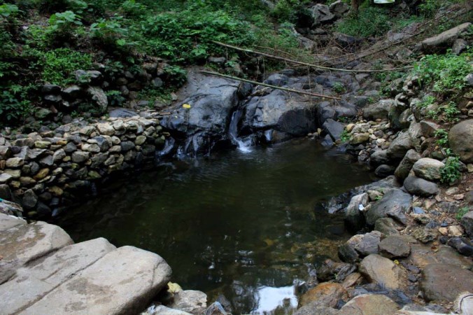 Photo credits : Surus