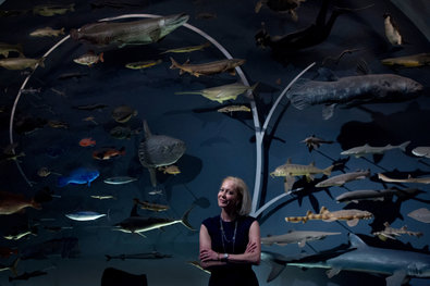 privatescience1-sfSpan-v2