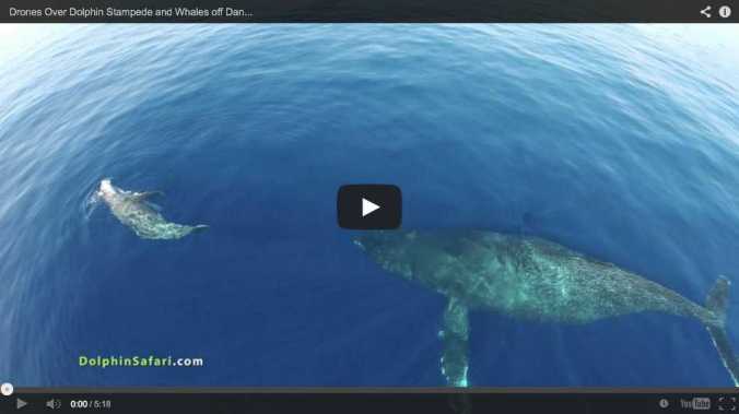 Screen Shot 2014-03-06 at 7.37.42 AM