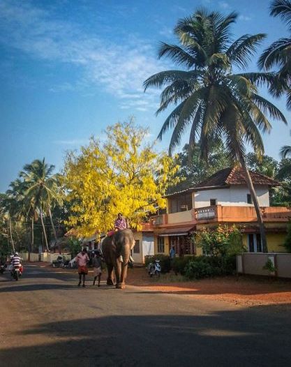 Photo Credits : Jithin