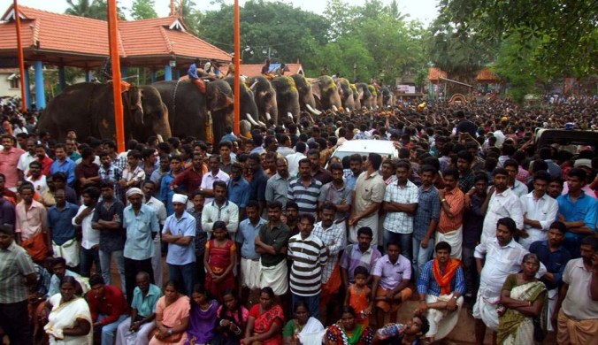 Photo credits : Ramesh Kidangoor