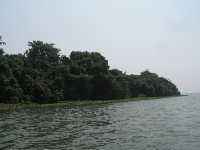 Photo credits : Surus