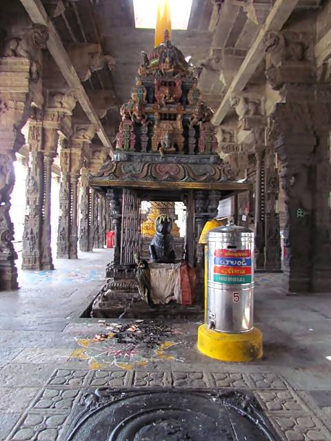 Photo credits : Renuka Menon