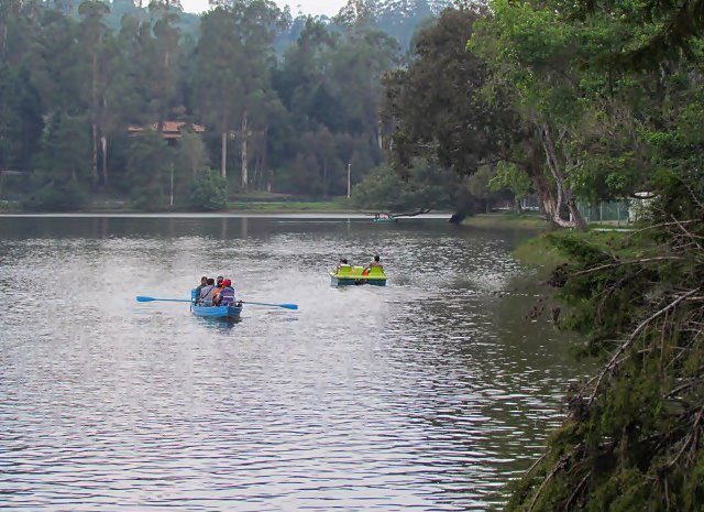 Photo credits : Renuka Menon