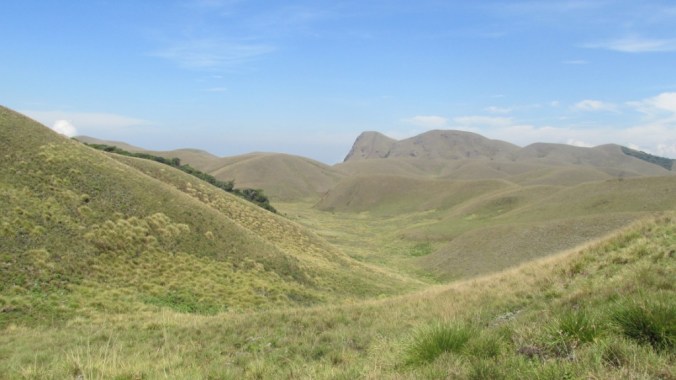 Photo credits: Salim