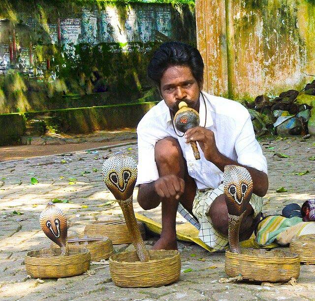 Photo  credit : Jithin