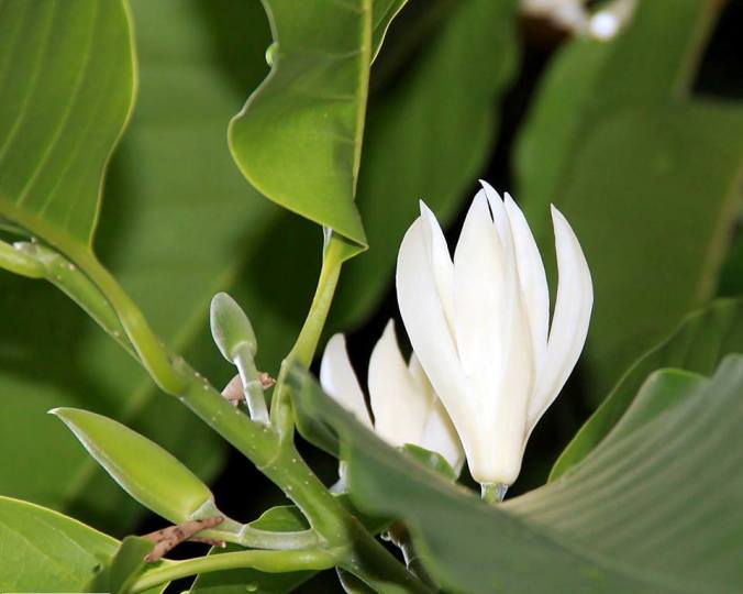 Photo credits: Shymon