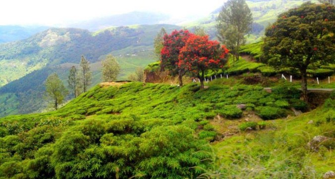 Photo credits : Bobby Mathew