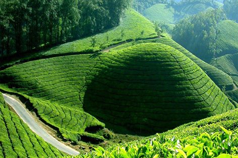 Photo Credits: Roji Antony