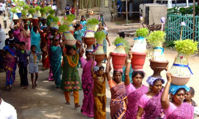 Photo credits : Ramesh Kidangoor