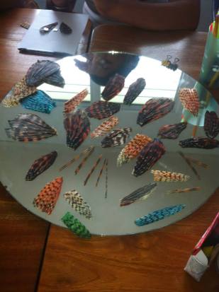 Lionfish spines, fins, and tails ready for jewelry