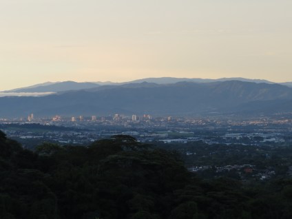 A great morning view of the Central Valley and opposing mountain range from the coffee field