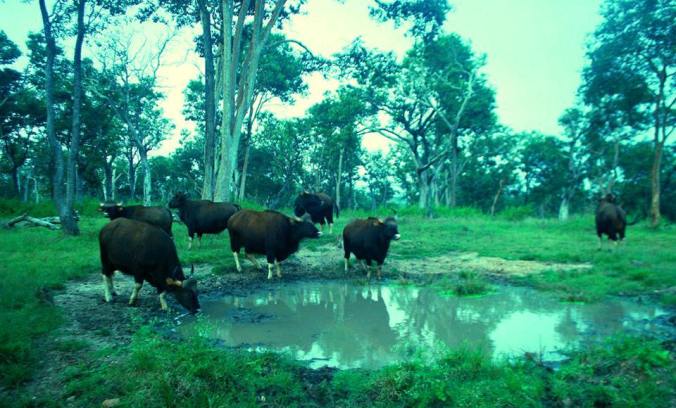 Photo credits : Unni P