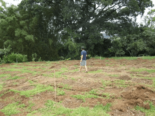 Screen Shot 2022-07-22 at 10.58.04 AM