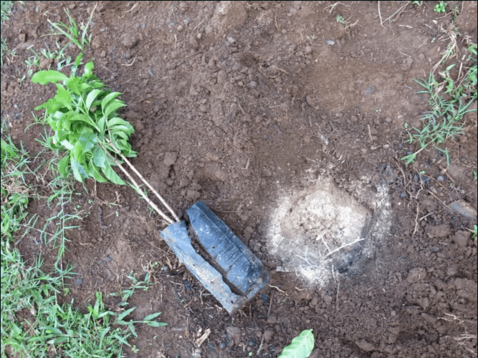 Screen Shot 2022-07-22 at 9.49.50 AM