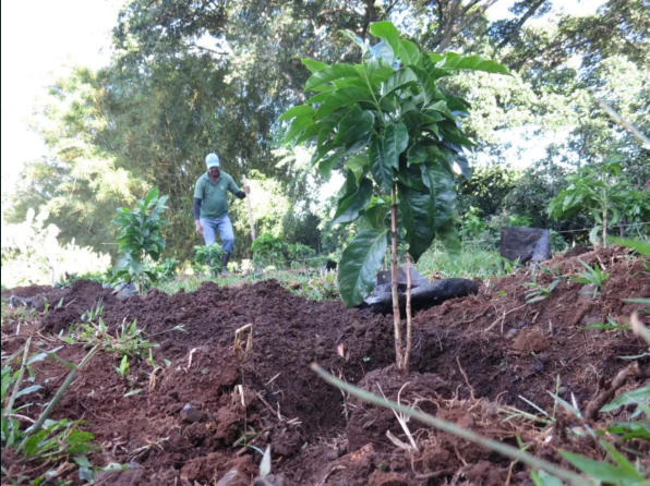 Screen Shot 2022-07-22 at 9.50.45 AM