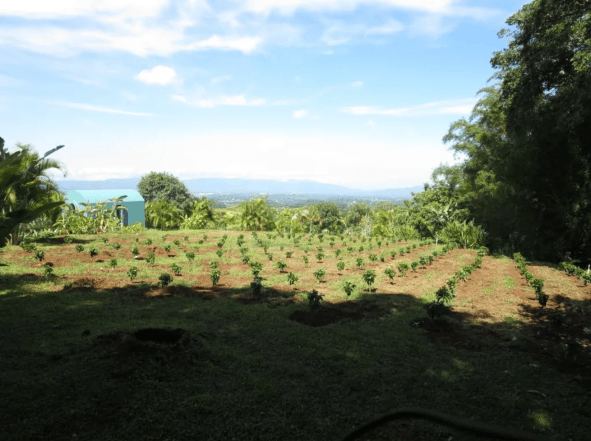 Screen Shot 2022-07-22 at 9.51.38 AM