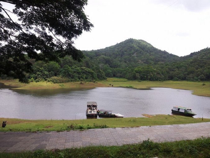 Photo credits : Johny Tom