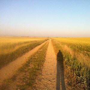 10437354_10201362789791511_7388278044108926240_n