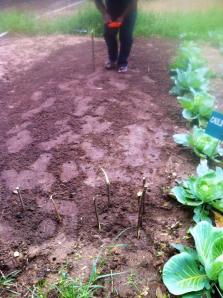 10500557_10201531219202141_6893957344646617811_n