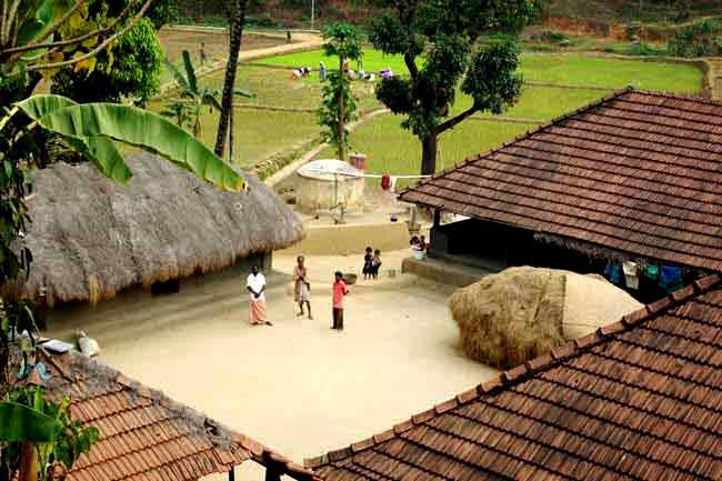 Photo credits : Jithin vijay