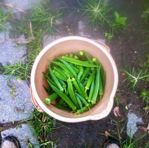 10559917_10201592002281680_8268726655977842745_n