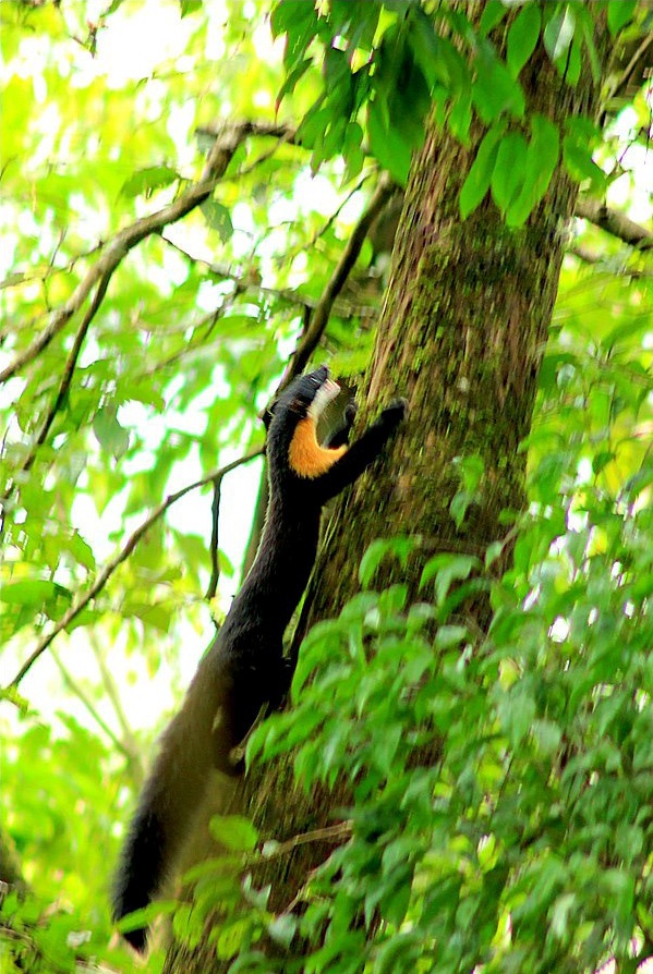 Photo credit : Aparna P