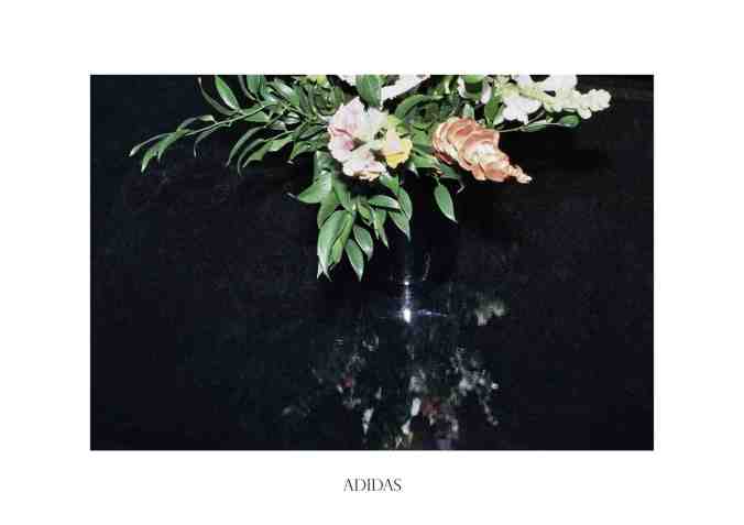 ADIDAS_NEWYORKER_PB
