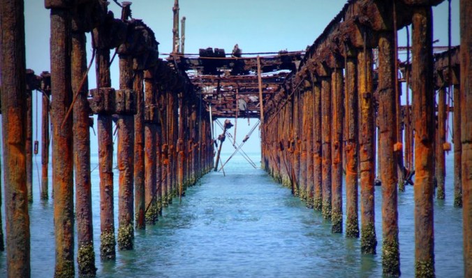 Photo credits: Ramesh Kidangoor