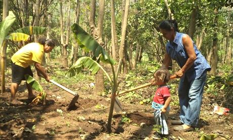 Salvadorans Elsy Álvarez and Maria Menjivar, with her young daughter, plant plantain seedlings in a clearing in the forest. Photograph: Claudia Ávalos/IPS