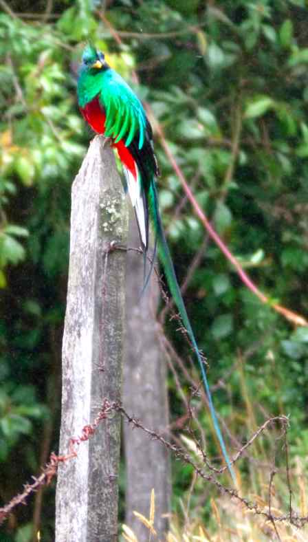 photo credit: Xandari Guest,, Helen Long 