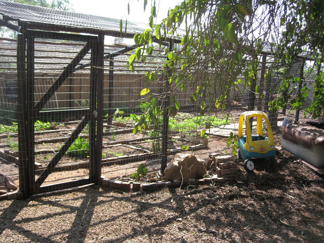 Here is the cage we are modeling ours after. Check out their blog: http://foodieschannel.blogspot.com/2011/04/this-isnt-really-recipe-but-its-about.html