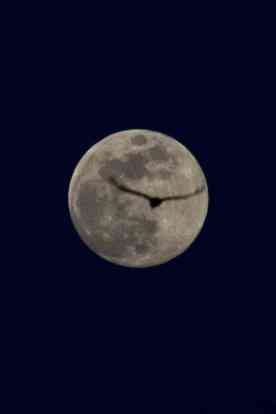 7296_591181947589412_1926452569_n