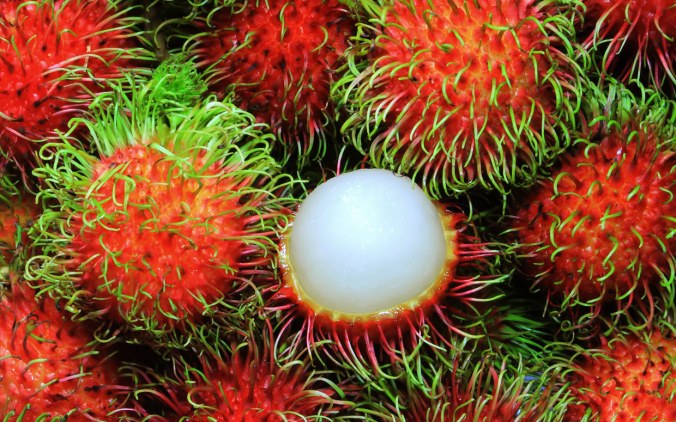 Have you ever seen a rambutan?