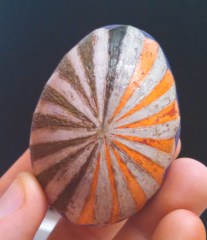 IMG_20140527_110428_749