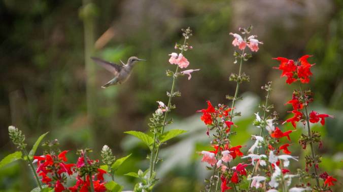 photo credit: Karen Brockney