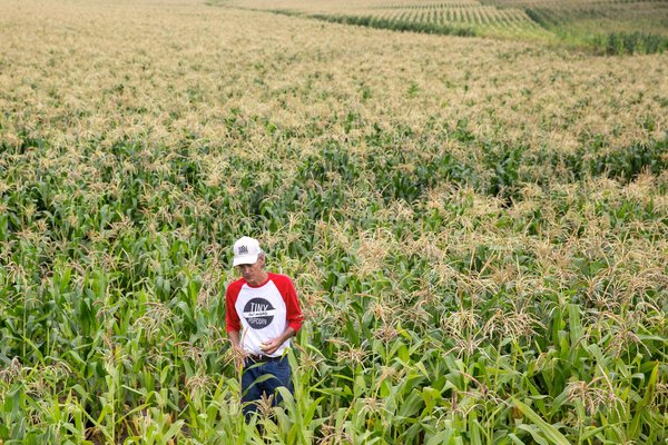 01-JP-POPCORN1-articleLarge