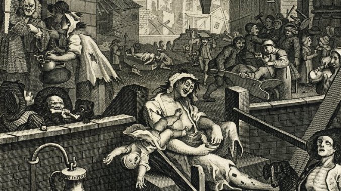 gin_wide-e8531d735abd157859bb21c062514336fc542f51-s5-c85