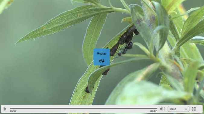 Screen Shot 2014-10-27 at 6.56.03 AM