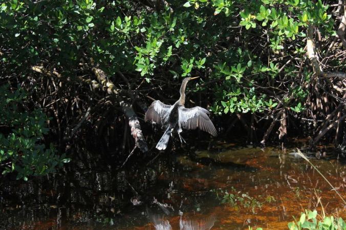 photo credit: Stephen Crafts