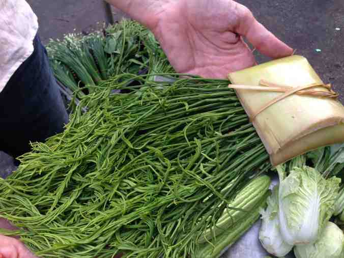 Climbing Wattle (sometimes called Acacia) with a charming banana stalk wrapping. In Thai it’s call “Cha- om ” and it’s mostly eaten fried in egg batter to accompany chili dip. (Thanks to Chananya from Asian Oasis for the wonderful explanation!)