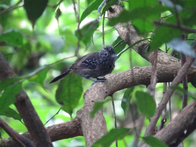 IMG_6025_zpsd08849cd